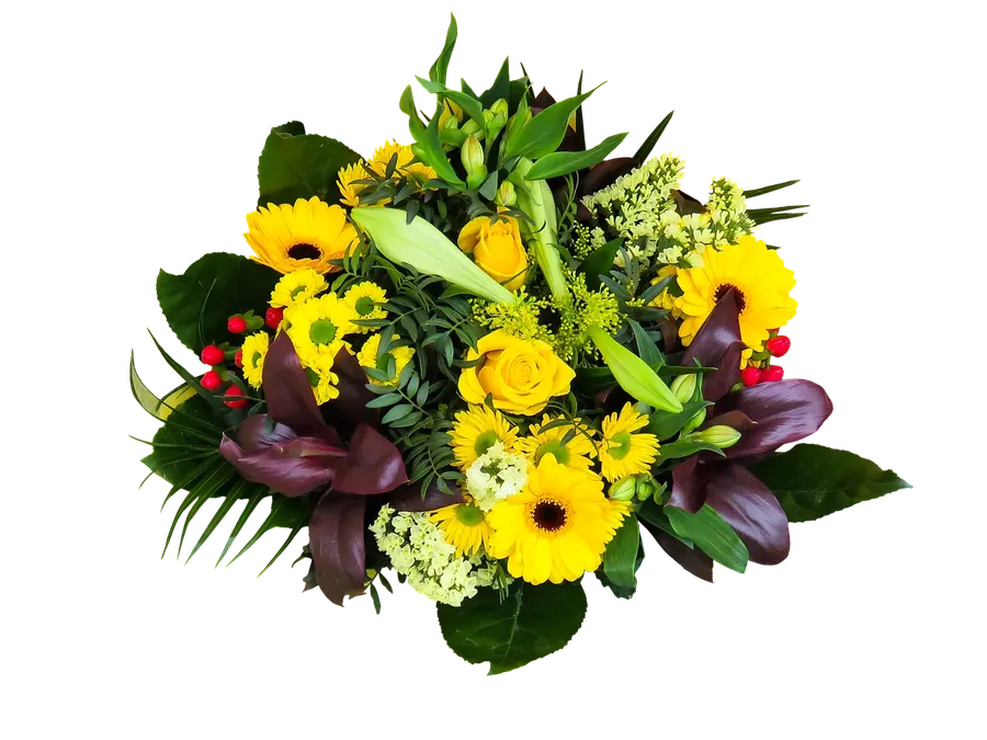 Mothers Day Gift Ideas
