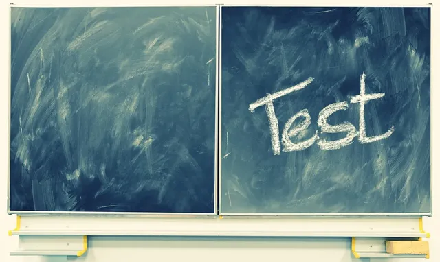 The CAHSEE Exam: Not Your Average Standardized Test