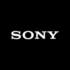 Will Sony Survive?