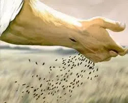 Sow a Thought