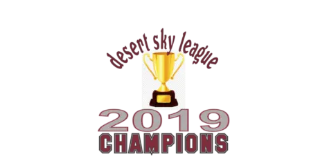 Mens Soccer 2019 DSL Champs!