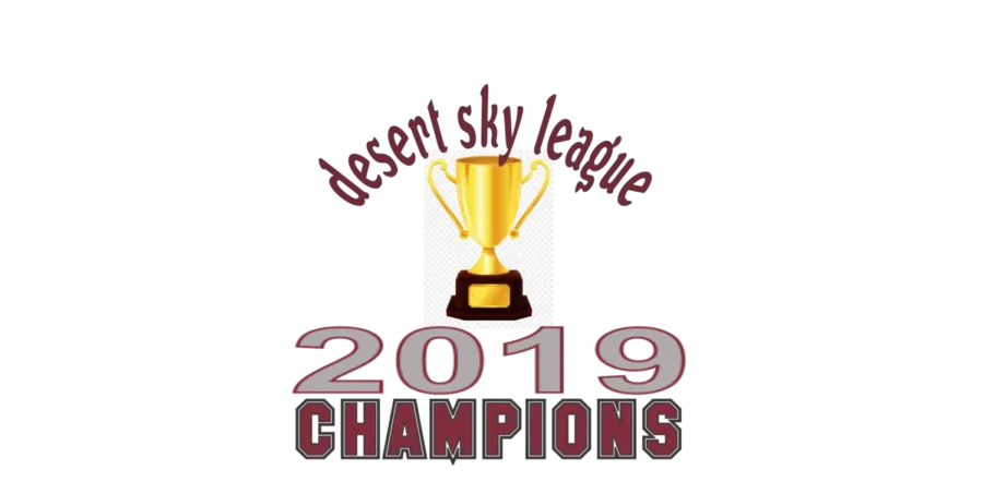 Mens Soccer 2019 DSL Champs!
