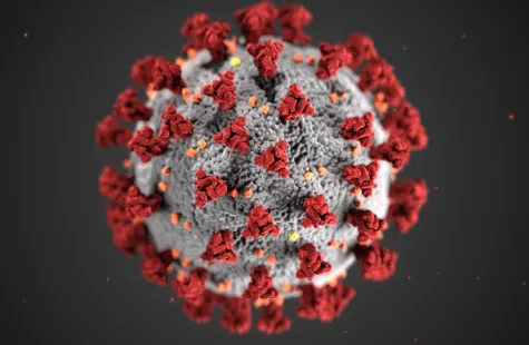 Can Russia Implement the First COVID-19 Vaccine?